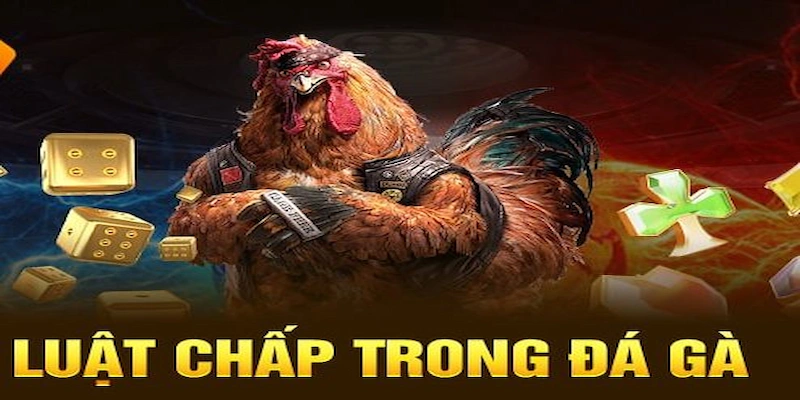 Luật chấp trong đá gà